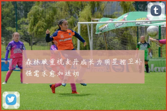 森林狼重视麦丹成长为明星控卫补强需求愈加迫切
