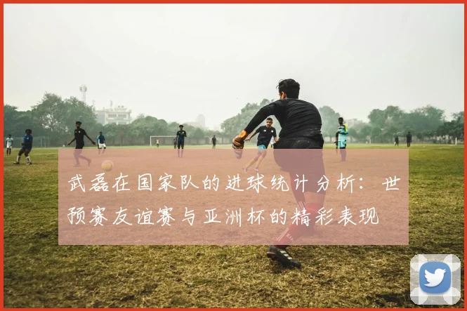 武磊在国家队的进球统计分析：世预赛友谊赛与亚洲杯的精彩表现