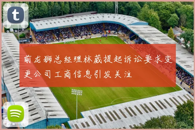 前龙狮总经理林葳提起诉讼要求变更公司工商信息引发关注